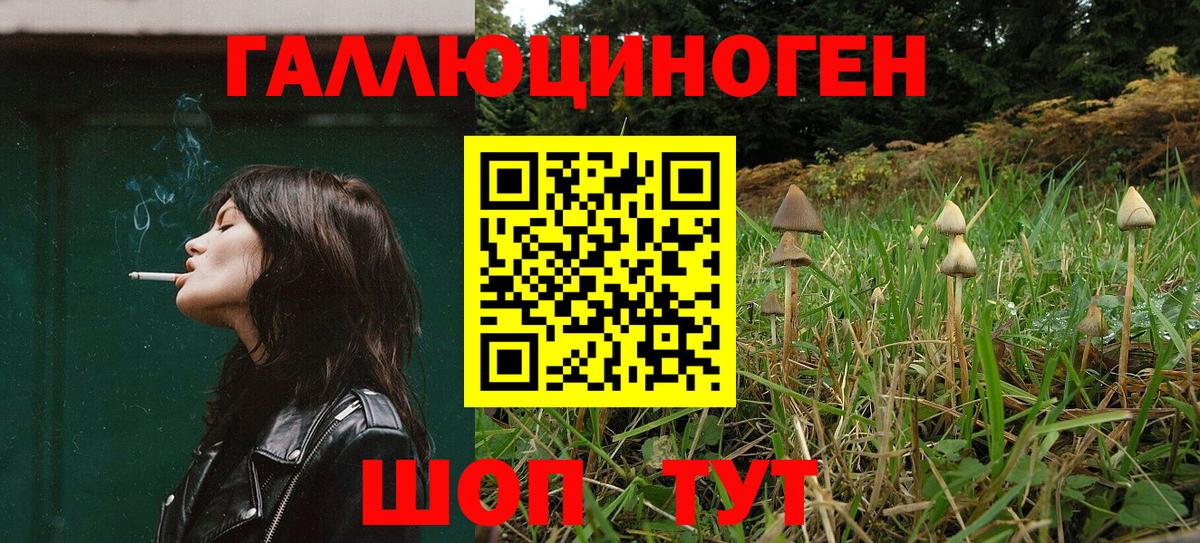 Галлюциногенные грибы Psilocybe  Вход с VPN  Галлюциногенные грибы Psilocybe  Всеволожск 