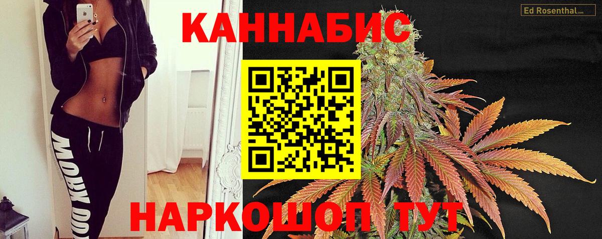 Каннабис план  Вход с VPN  Бошки марихуана план  Всеволожск  Бошки марихуана OG Kush 
